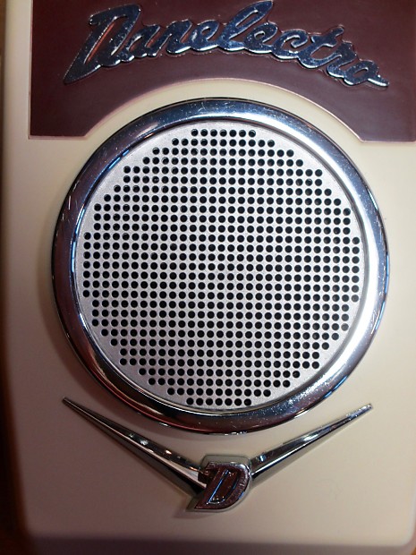 Danelectro amp shop in bag