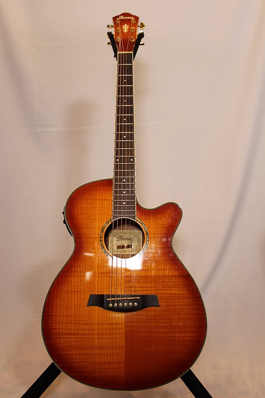 Ibanez Acoustic-Electric Guitar AEG2011-VV-3R-01 | Reverb