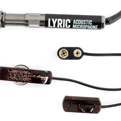 LR Baggs Lyric Acoustic Microphone System image 1