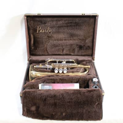 Early 90's Bach Stradivarius ML 184 Cornet w/ Case, | Reverb