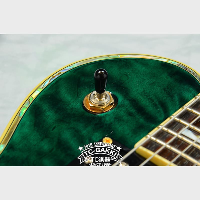 Aria ProII PE-509 | Reverb