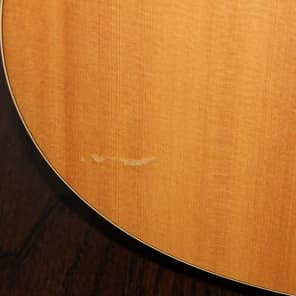 Seagull Artist Studio CW Duet II - Solid Indian Rosewood Back & Sides image 6