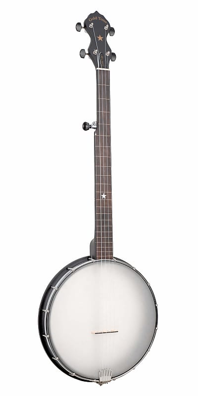 Gold Tone AC-12FL 12'' Fretless Acoustic Composite 5-String Openback Banjo with Gig Bag image 1