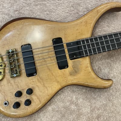 Alembic Orion 4Strings early 2000 - image 2