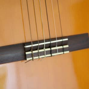 Yamaha C40 Full Size Nylon-String Classical Guitar image 18