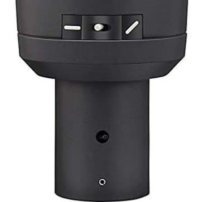 Electro-Voice RE20-BLACK Dynamic Broadcast Announcer Microphone, Black (RE20)