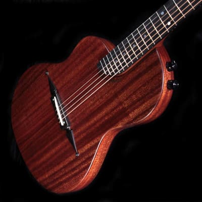 Rick Turner RS6 lefty lefthanded LH image 6