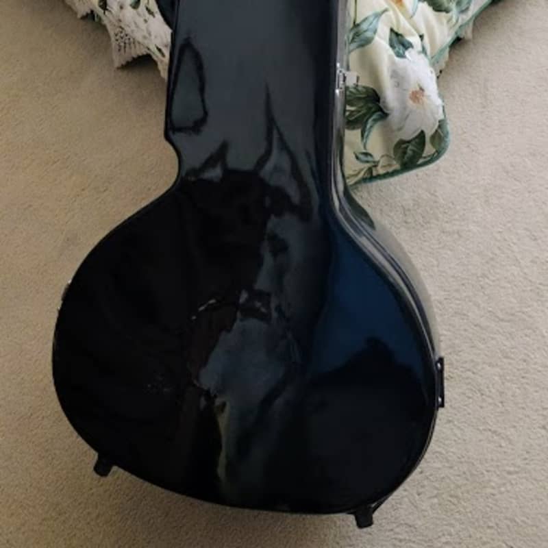 Sitars Shop New & Used Sitars For Sale Reverb