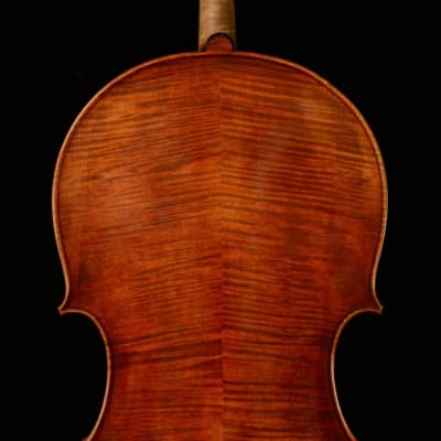 Montagnana Cello Master Wang's Own Work No. W19,2023 image 6