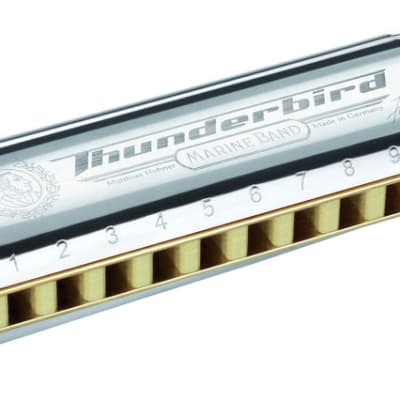 Hohner Marine Band Thunderbird Harmonica - Low E Flat---key-low-e-flat image 1