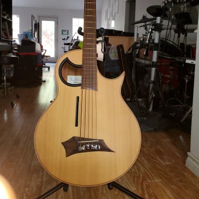 Warwick Alien Acoustic Bass 5 String  + bonus/Free ToneWood Amp for Acoustic Guitar + bonus/Free Taylor Precision Digital Hygrometer and Thermometer image 1