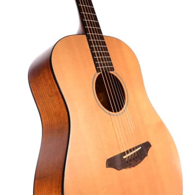 Breedlove D200/SMP Passport Acoustic Guitar w/HSC USED image 4
