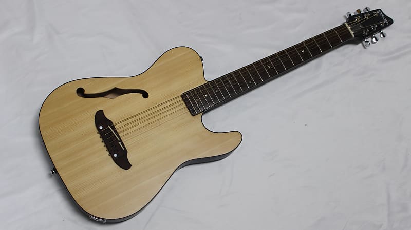 SCHECTER / OL-FL/SNTL New! [88291]