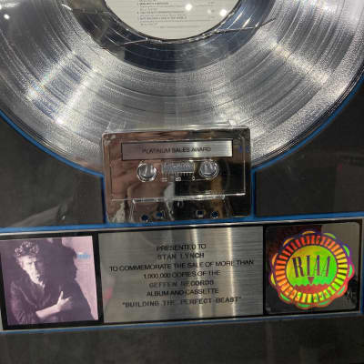 Stan Lunch Don Henley, RIAA, Building the Perfect Beast, Platinum Record (#1) image 4