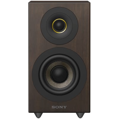 Sony CAS-1 High-Resolution Desktop Audio System with Headphone