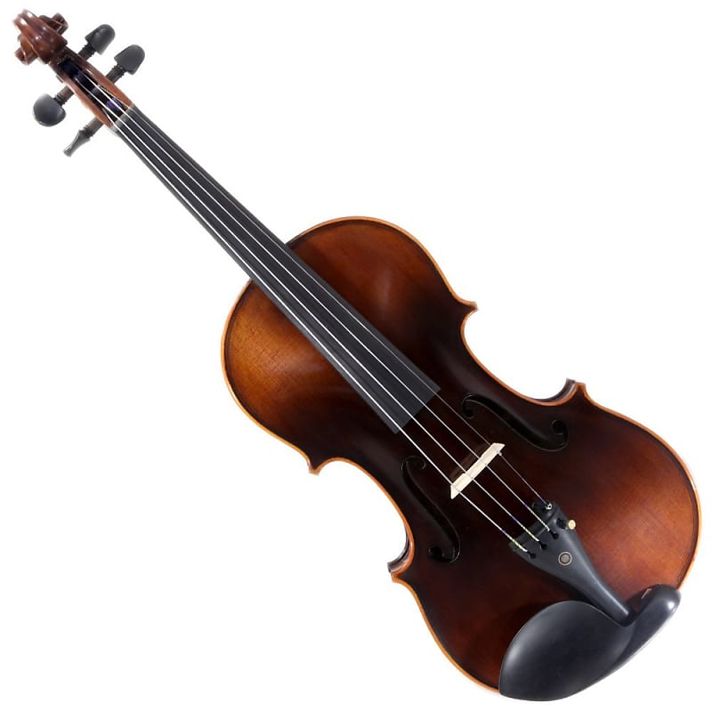 Amazon.com: Vangoa 4/4 Violin Full Size Set Spruce Acoustic