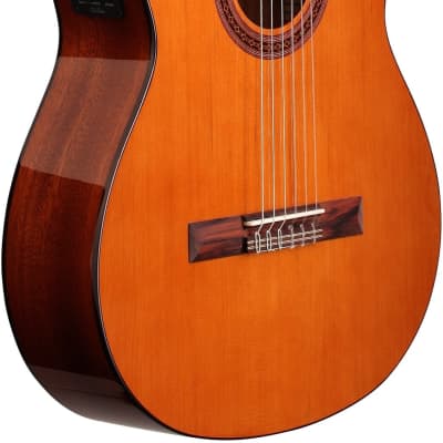 Cordoba C5-CE Classical Acoustic-Electric Guitar Natural, Solid Cedar Top image 3