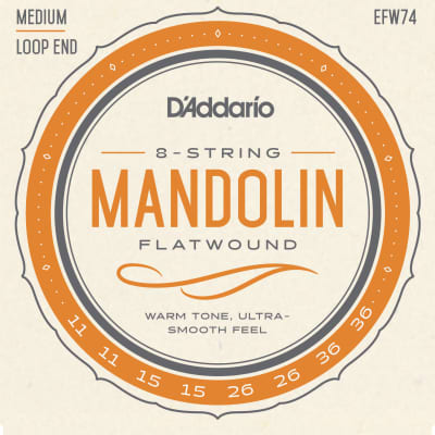 D'Addario EFW74 Flatwound Mandolin Strings Phosphor Bronze Medium 11-36