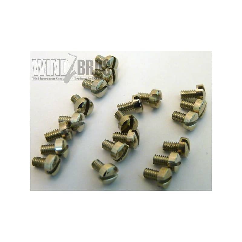 buzz [Clearance Sale] Buzz Saxophone Key Guard Screw Reverb Canada