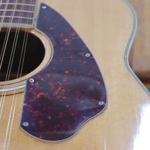 Fender 12 String F1070 / Harmony H1270 1969 Natural image 11