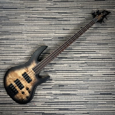 LTD (ESP) D-4 4-String Bass, Black Natural Burst Satin, Burled Poplar image 4