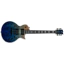 ESP LTD EC-1000 Guitar, Poplar Burl Top, Macassar Ebony, Blue Natural Fade