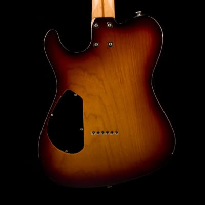 Asher T-Deluxe Tobacco Sunburst with Gig Gag image 11