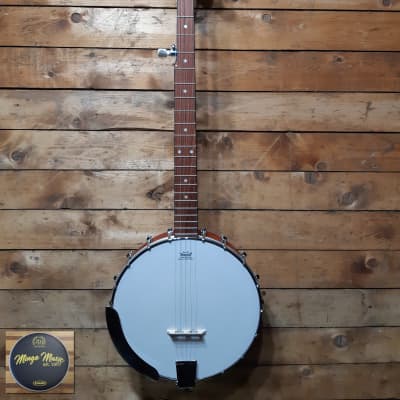 Epiphone MB-100 5 string banjo. for sale