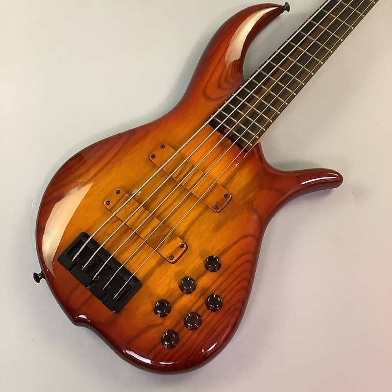 F Bass BN5 | Reverb The Netherlands