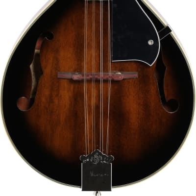 ibanez アイバニーズ マンドリン M510DVS 海外インポート ケース付 Amazon.com: Ibanez M510OVS Acoustic Mandolin in Vintage Sunburst