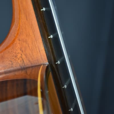 Jose Ramirez 125 Anos anniversary cedar-top all-solid wood classical guitar image 11