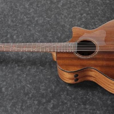 Ibanez AE295 Acoustic Electric Guitar, Natural Low Gloss for sale