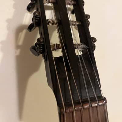 D’Orso Romantica  Guitar 1890 Shellac image 4