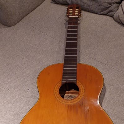 Maxwin Pearl Musical Instruments Acoustic/Electric Guitar