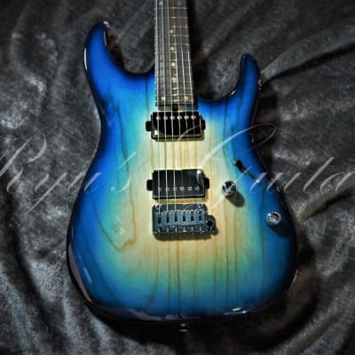 T's Guitars DST24 Custom 2019 Trans Blue Burst image 5