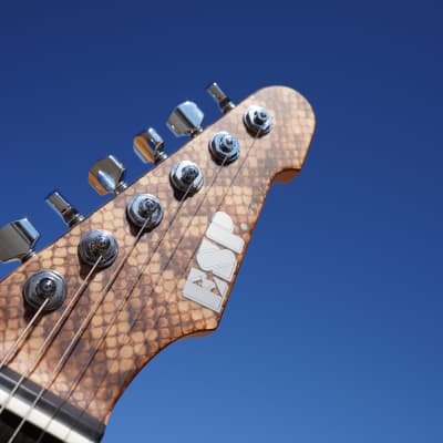 ESP USA TE-II Hardtail Snakeskin 6-String Electric Guitar w/ Form Fit Case (#4 of 10 Made Worldwide) image 6