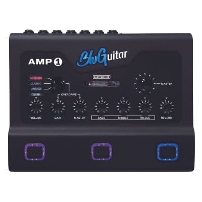 BluGuitar AMP1 IRIDIUM Edition ~ 100w Amp image 1