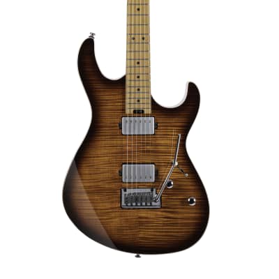 Cort G290 FAT II G Series Alder Body Flamed Maple Top Roasted Maple Neck 6-String Electric Guitar image 1
