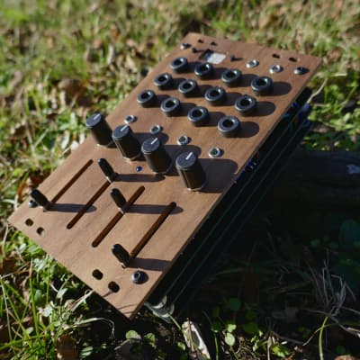 Ellitone Osage Modular Synthesizer System (EOMSS) Serial#001 image 12