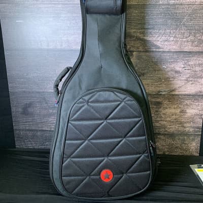 Roadrunner RPFE07 Polyfoam Electric Guitar Case | Reverb