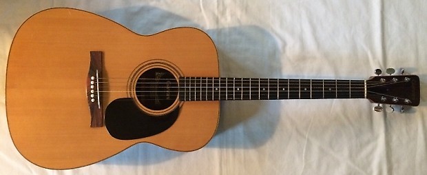 1974 giannini acoustic guitar outlet