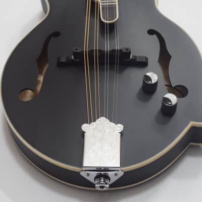 Luna Moonbird F-Style Acoustic-Electric Mandolin - Black Satin image 2