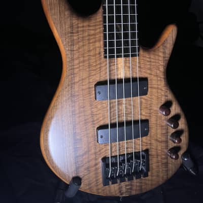 Fretless 5 string bass guitar image 3