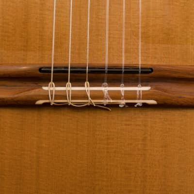 Richard Prenkert Cutaway Nylon String Guitar 2015 Natural image 7