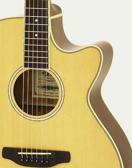 ARIA FET-01STD N Elecord Electro-Acoustic Guitar in Natural