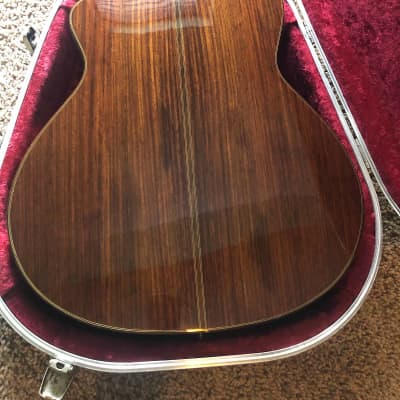 Amalio Burguet Picasso Nylon Acoustic Electric Guitar with Hard shell Case image 15