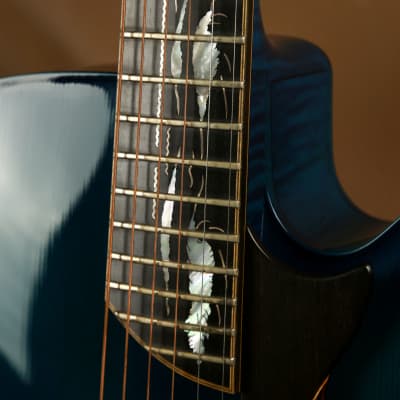 Washburn Blue Dolphin Yuriy Shishkov Masterpiece Archtop Acoustic Guitar image 5