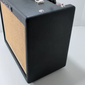 その他 TECH 21 trademark 10 Tech 21 Trademark 10 Guitar Amp Combo | Musician's Friend
