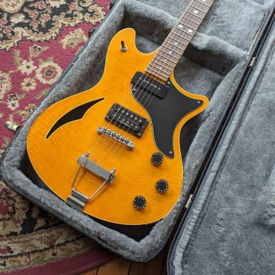 選ぶなら シェクター SCHECTER 超レア TSH-1B グリーン セミアコ EGP ...