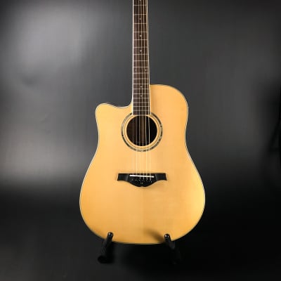 Wood Song DCE-NA-L Left Handed Acoustic/Electric Guitar with Gig Bag image 1